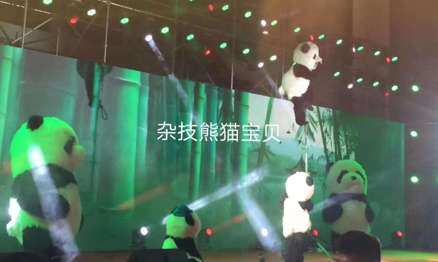 赏金国际官方网站图片