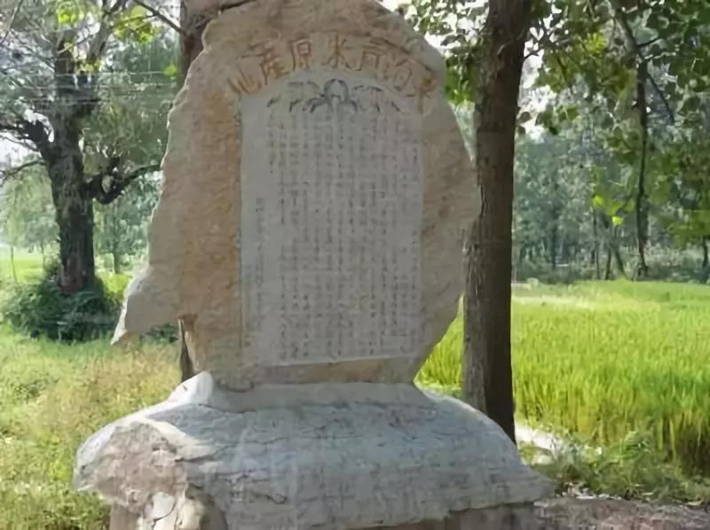 赏金国际官方网站图片