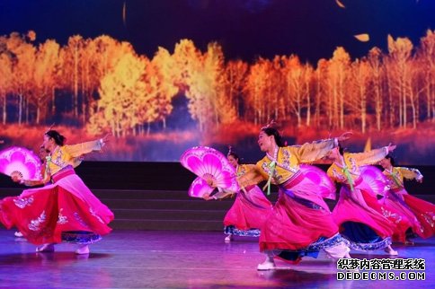 赏金国际官方网站图片
